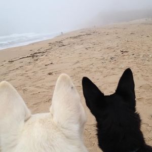 Meet your Posher, Jeanine